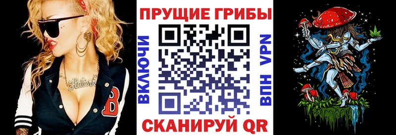 Галлюциногенные грибы Psilocybe  гидра зеркало  Сурск 